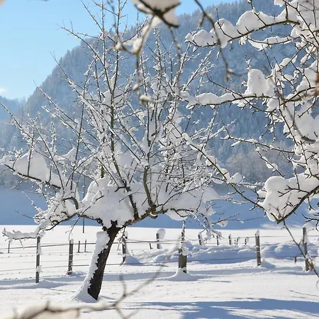 Kirchenwirt Hotel 3*