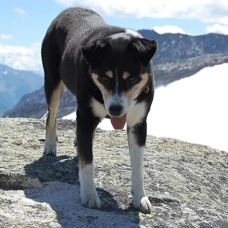 Hotel Kirchenwirt 3*