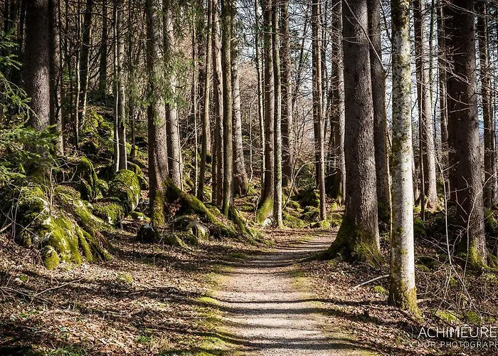 Landhotel Kirchenwirt Hotel Unken