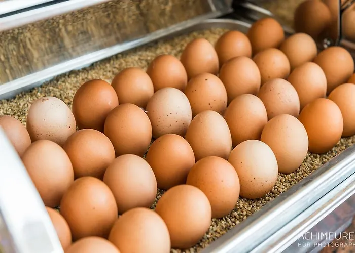 Landhotel Kirchenwirt