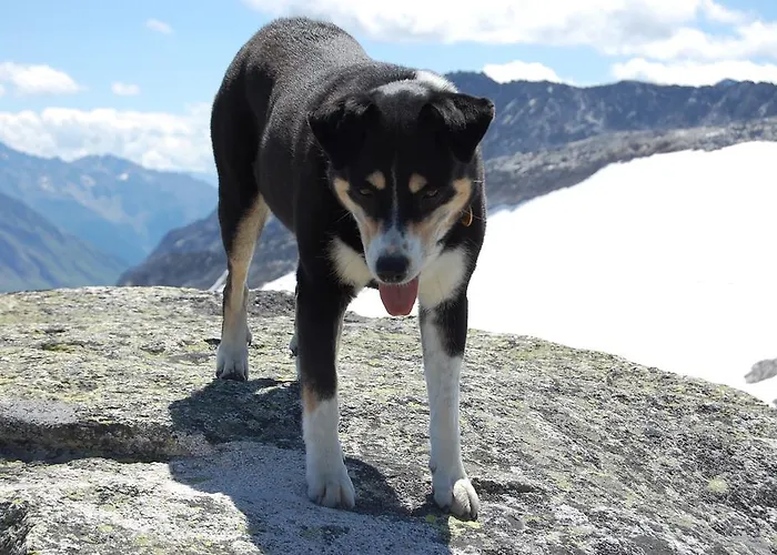 Hotel Landhotel Kirchenwirt 3*